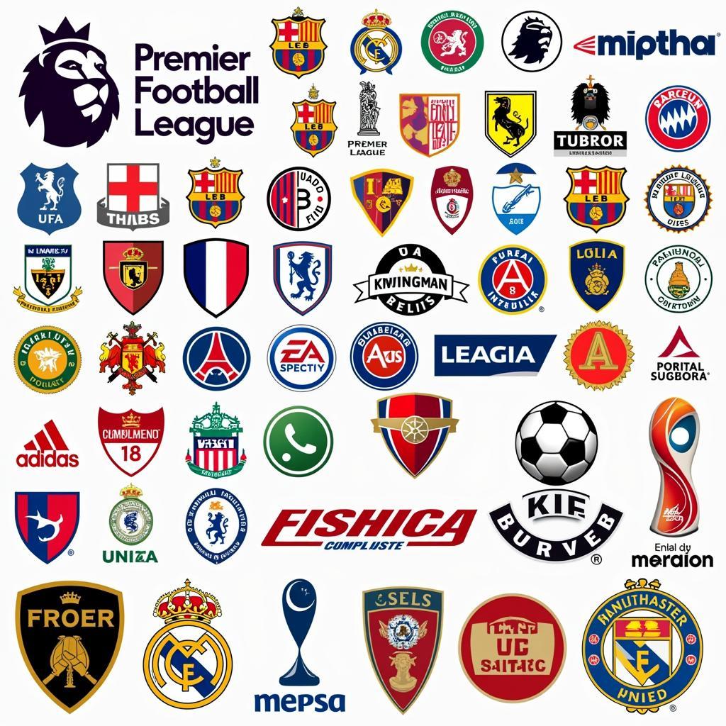 Top Football Leagues