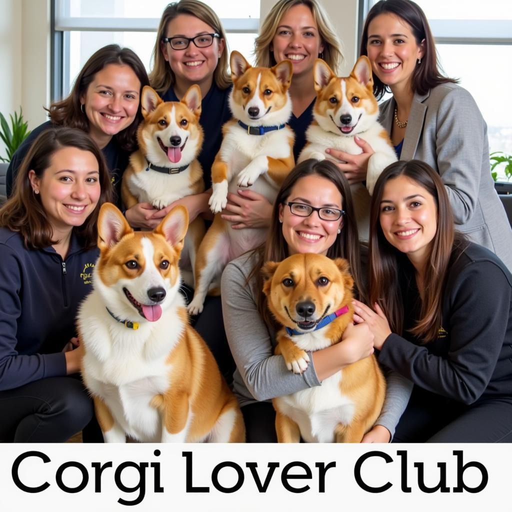 Hình ảnh các thành viên CLB Coc chụp ảnh cùng chó Corgi