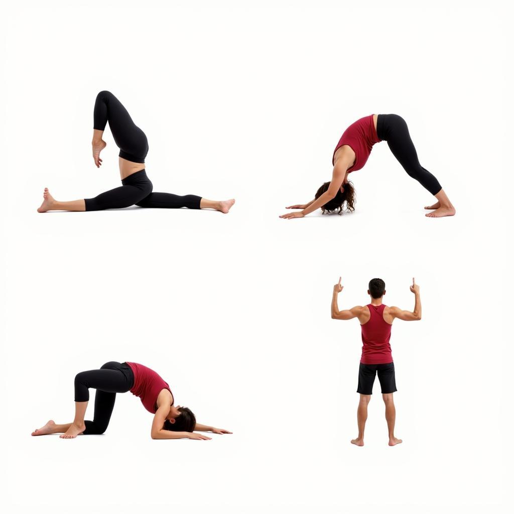 Các tư thế yoga cơ bản