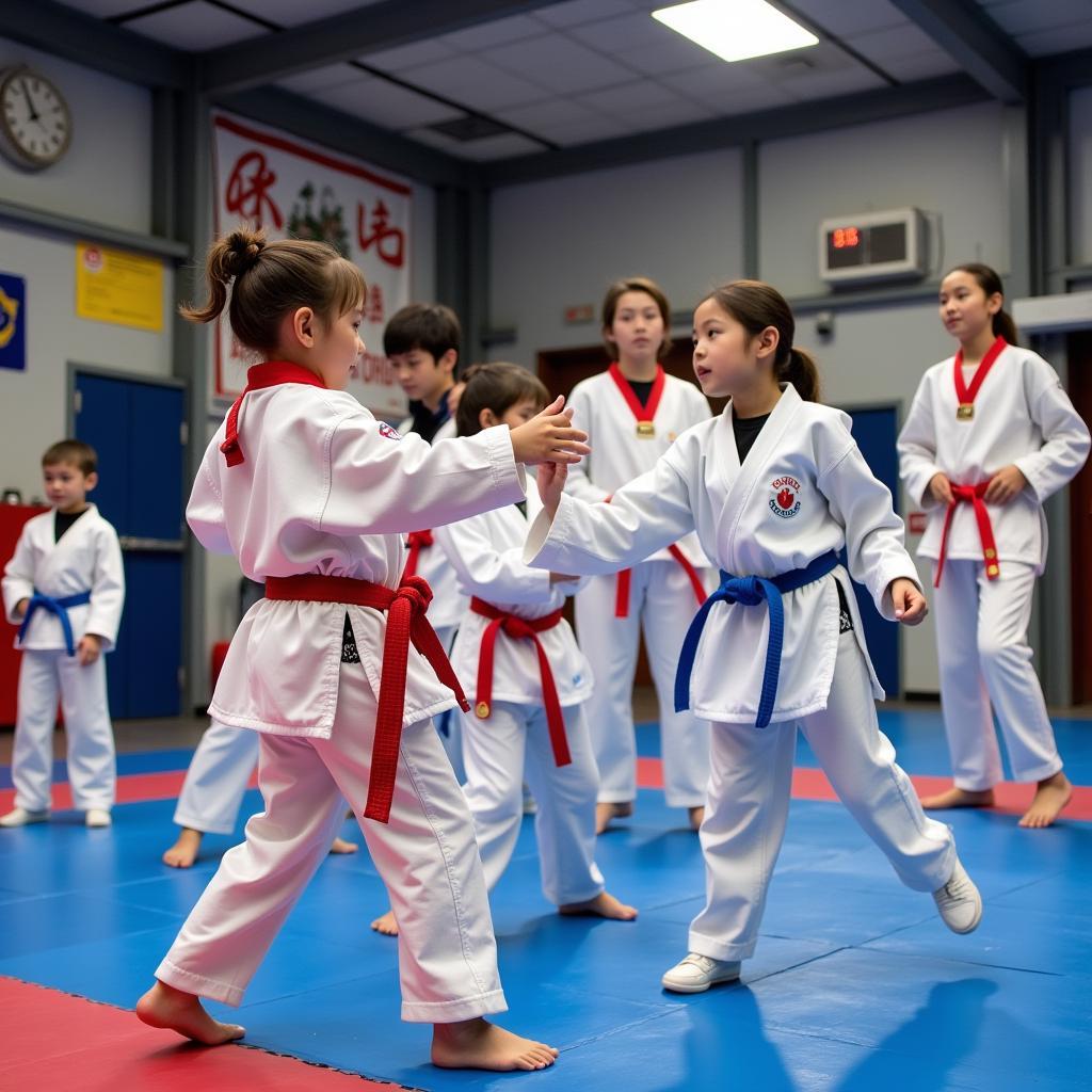 CLB Taekwondo Quận Hai Bà Trưng: Khơi Dậy Tinh Thần Võ Thuật