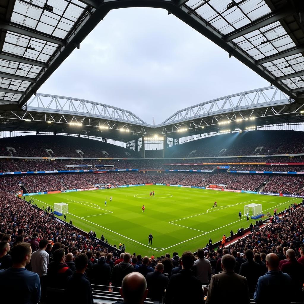 Newcastle United tại St James' Park