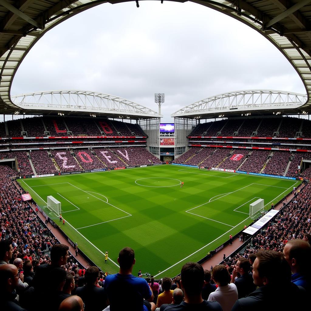 Sân vận động St. James' Park - Biểu tượng của CLB Newcastle United