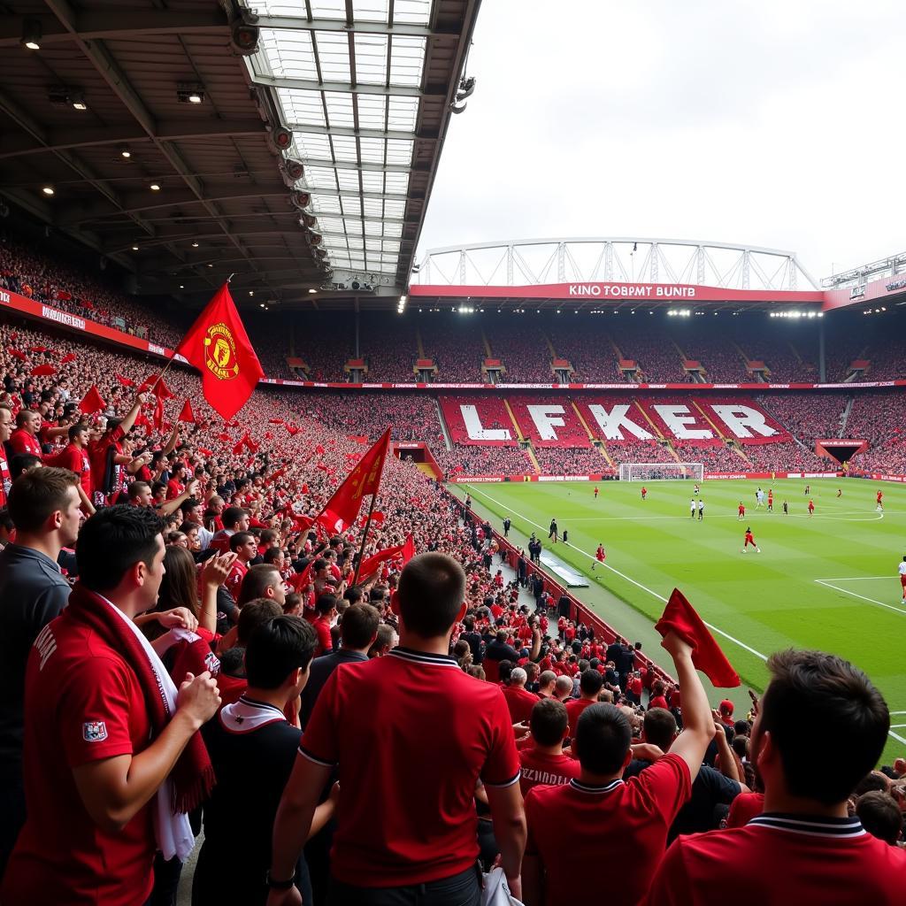 Cổ động viên CLB Man United trên khán đài Old Trafford