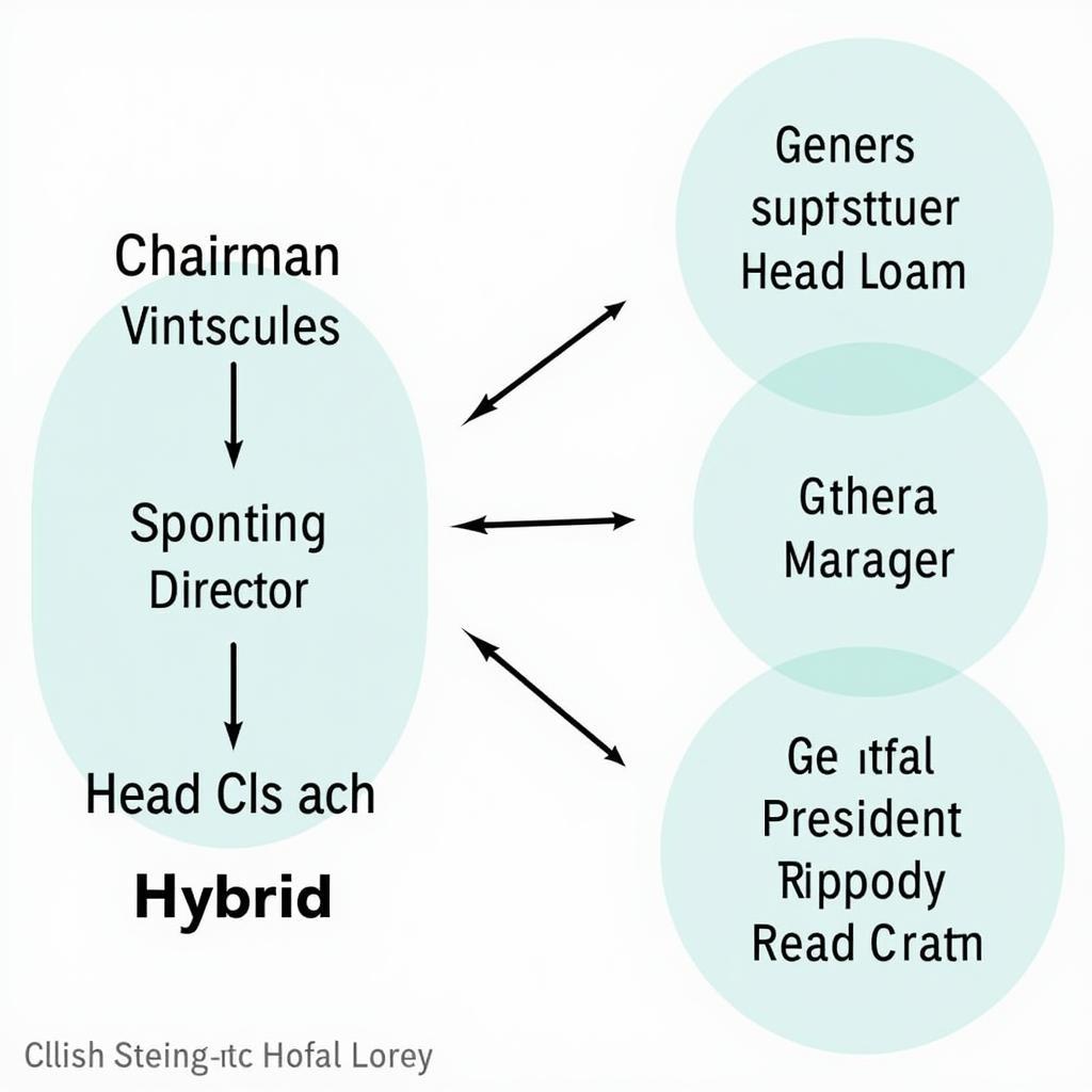 Chủ Nhiệm CLB Hay Chủ Tịch CLB: Ai Là “Thuyền Trưởng” Đích Thực?