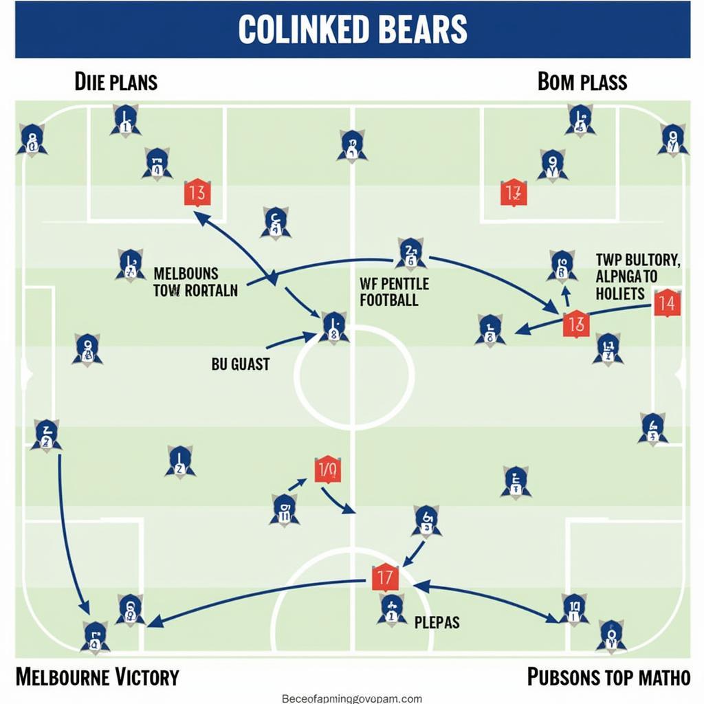 CLB Melbourne Victory: Hành Trình Chiến Thắng Trên Đấu Trường Úc