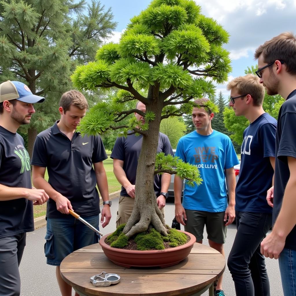 Khám Phá Thế Giới CLB Bonsai Handmade